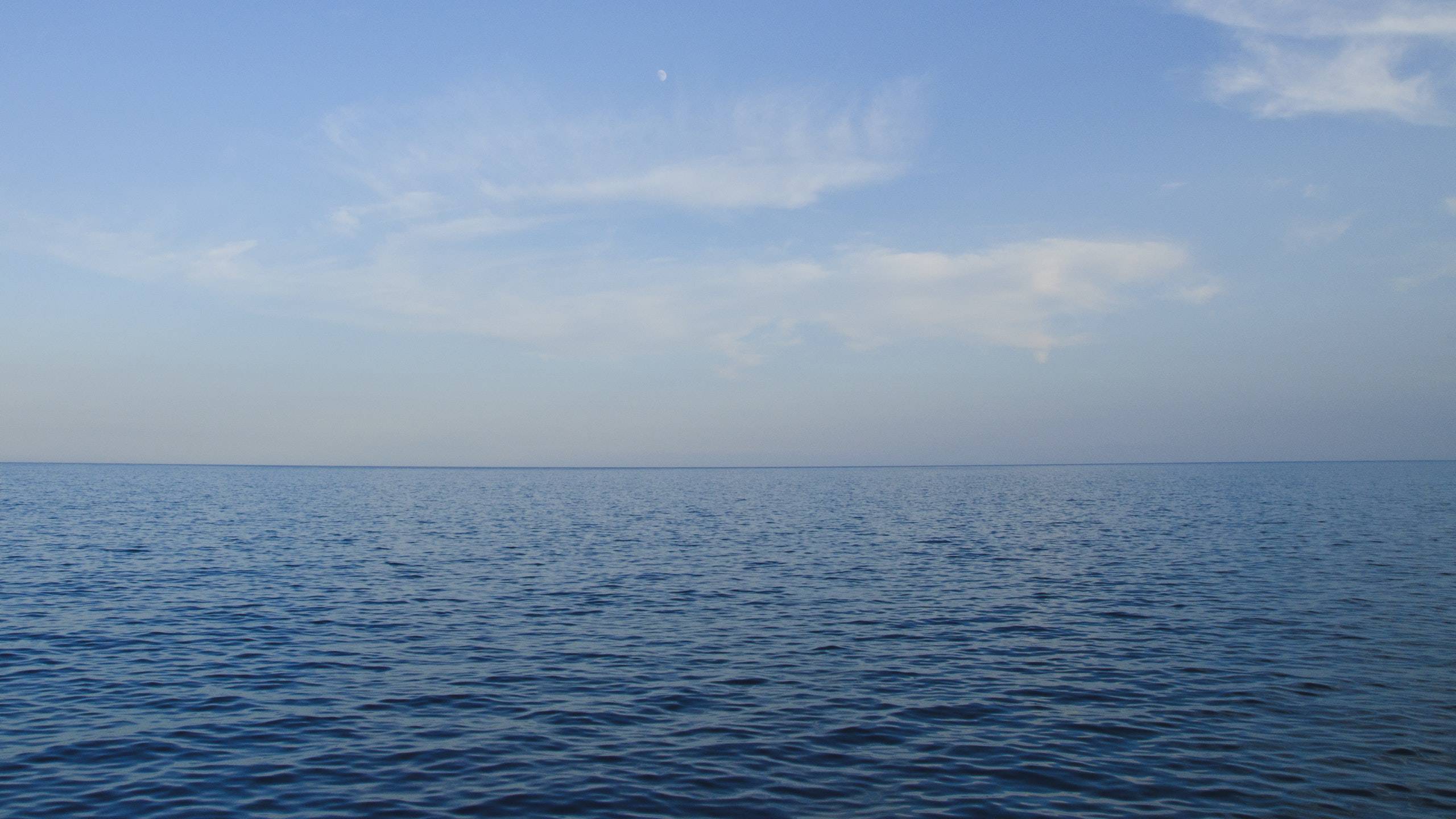 mare