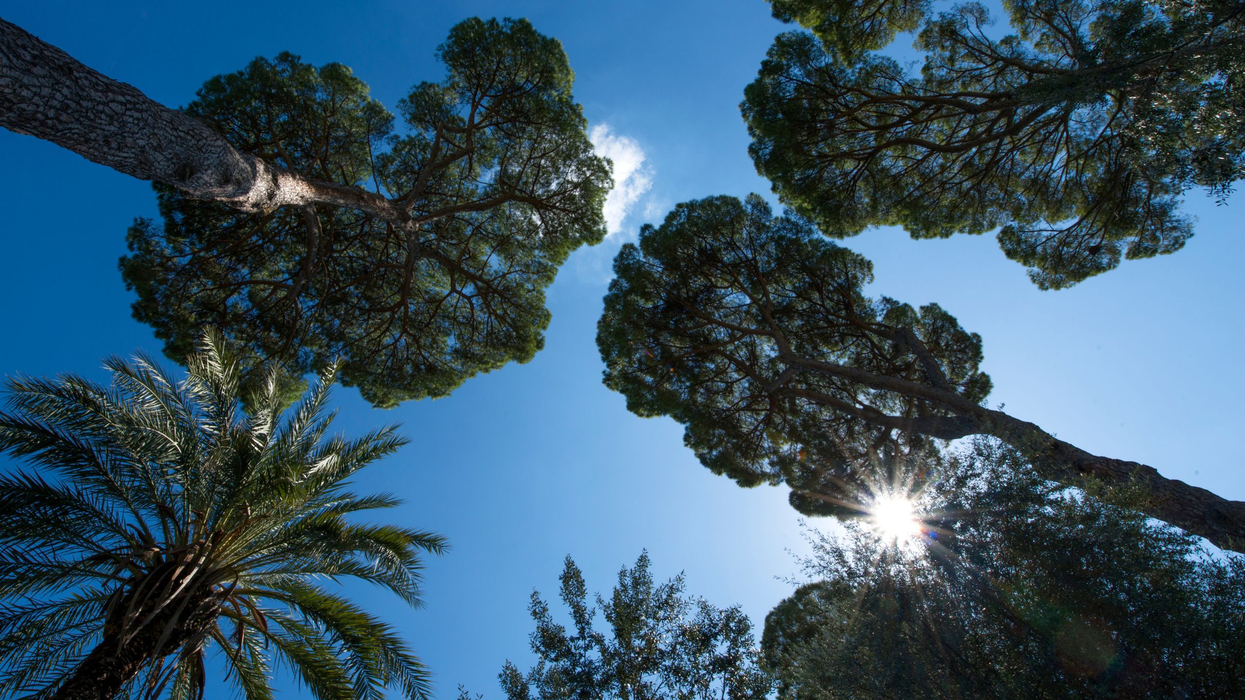 Blog-Appartamenti-Rome-with-a-View-Roma