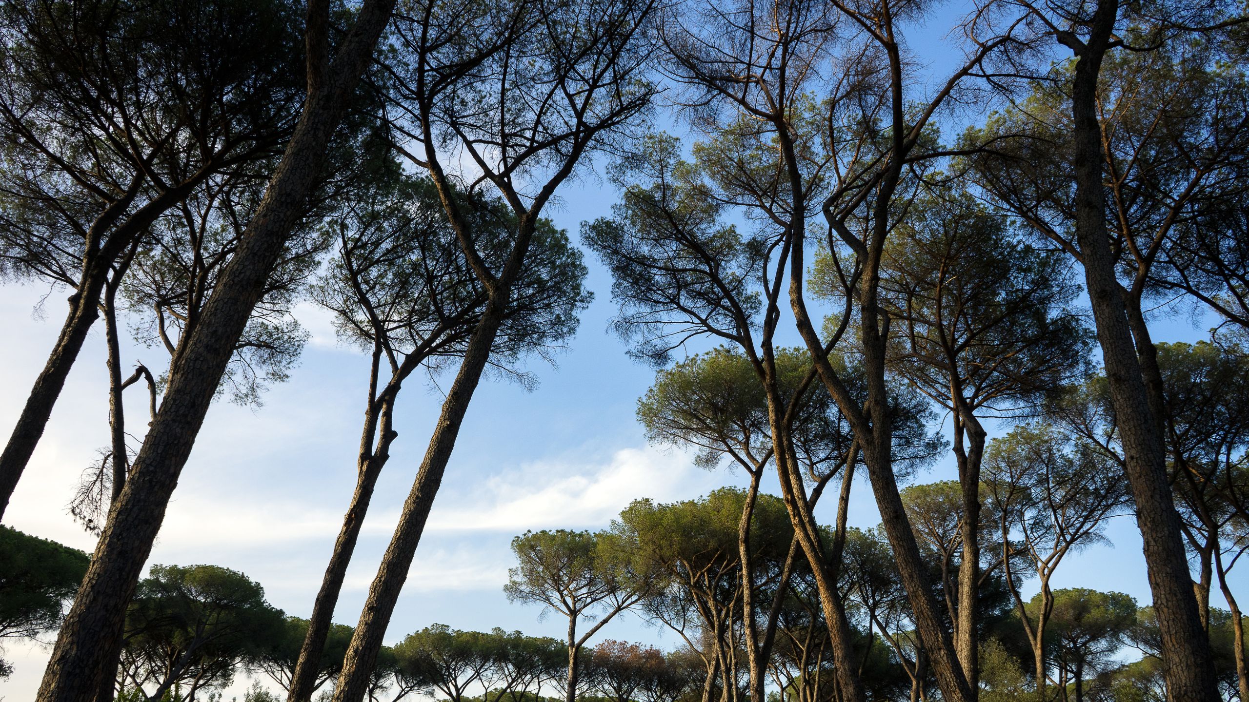 Blog-Appartamenti-Rome-with-a-View-Roma