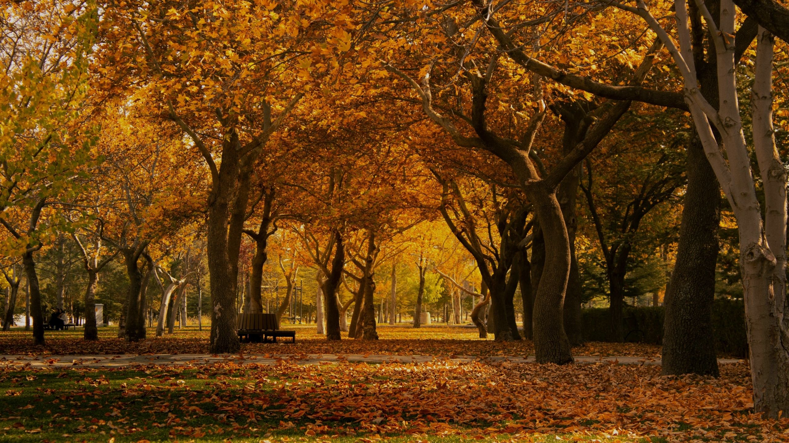 blog-rome-with-view-parco-autunno-1.jpg