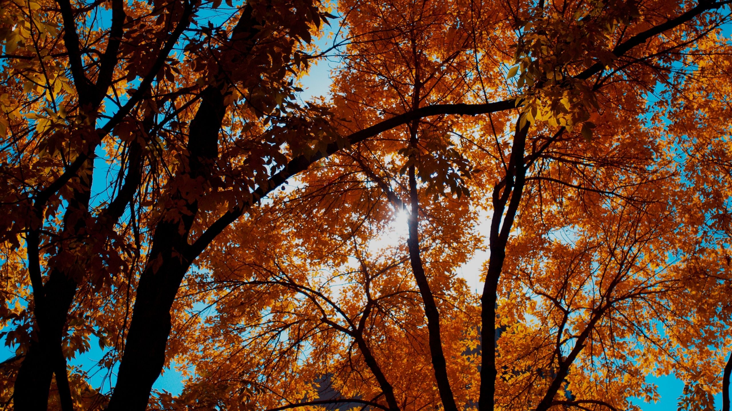 blog-rome-with-view-parco-autunno-2